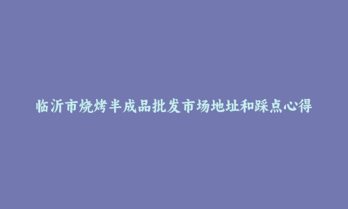 临沂市烧烤半成品批发市场地址和踩点心得