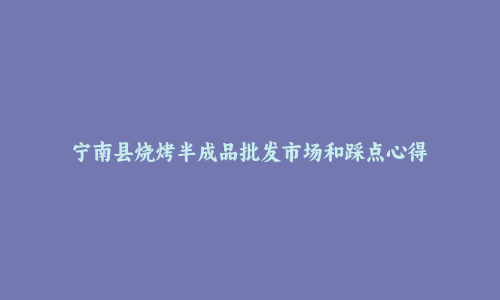 宁南县烧烤半成品批发市场和踩点心得