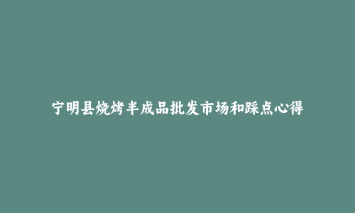 宁明县烧烤半成品批发市场和踩点心得
