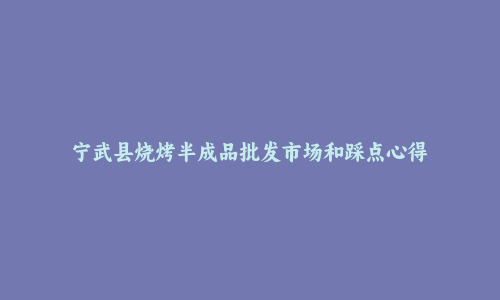 宁武县烧烤半成品批发市场和踩点心得