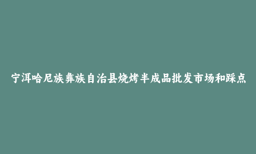 宁洱哈尼族彝族自治县烧烤半成品批发市场和踩点心得