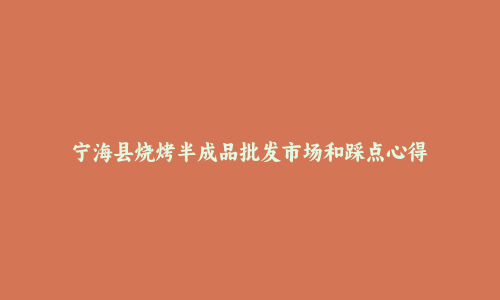 宁海县烧烤半成品批发市场和踩点心得