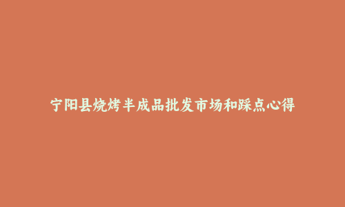 宁阳县烧烤半成品批发市场和踩点心得