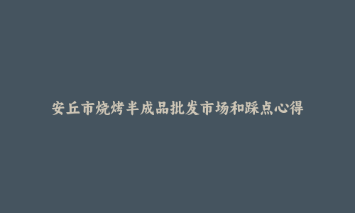 安丘市烧烤半成品批发市场和踩点心得