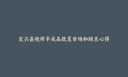 定兴县烧烤半成品批发市场和踩点心得