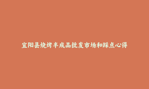 宜阳县烧烤半成品批发市场和踩点心得
