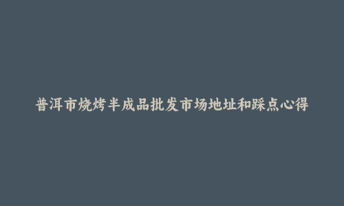 普洱市烧烤半成品批发市场地址和踩点心得