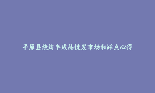 平原县烧烤半成品批发市场和踩点心得