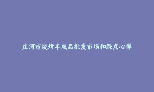 庄河市烧烤半成品批发市场和踩点心得