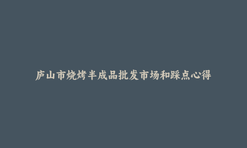 庐山市烧烤半成品批发市场和踩点心得