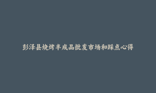 彭泽县烧烤半成品批发市场和踩点心得