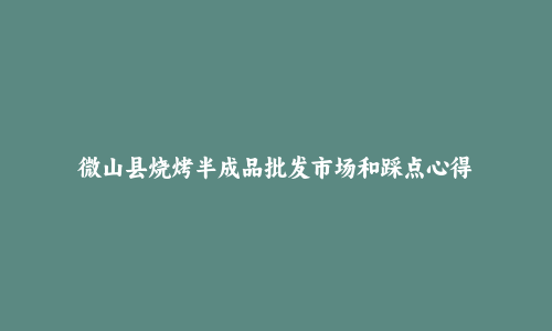 微山县烧烤半成品批发市场和踩点心得