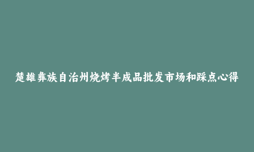 楚雄彝族自治州烧烤半成品批发市场和踩点心得