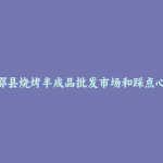 新邵县烧烤半成品批发市场和踩点心得