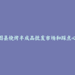 昌图县烧烤半成品批发市场和踩点心得