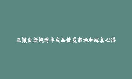 正镶白旗烧烤半成品批发市场和踩点心得