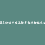 汤阴县烧烤半成品批发市场和踩点心得