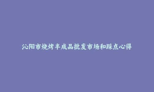 沁阳市烧烤半成品批发市场和踩点心得