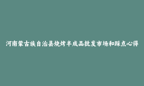 河南蒙古族自治县烧烤半成品批发市场和踩点心得
