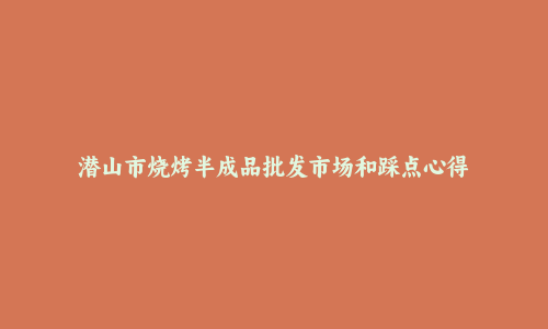 潜山市烧烤半成品批发市场和踩点心得