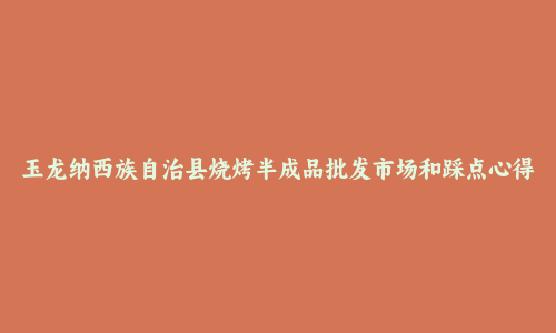 玉龙纳西族自治县烧烤半成品批发市场和踩点心得