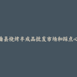 玛曲县烧烤半成品批发市场和踩点心得