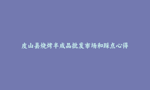 皮山县烧烤半成品批发市场和踩点心得