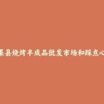 石渠县烧烤半成品批发市场和踩点心得