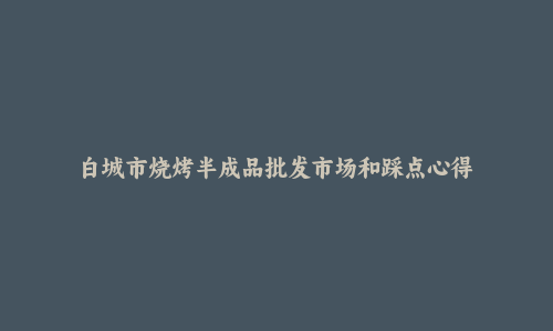 白城市烧烤半成品批发市场和踩点心得