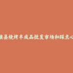 社旗县烧烤半成品批发市场和踩点心得