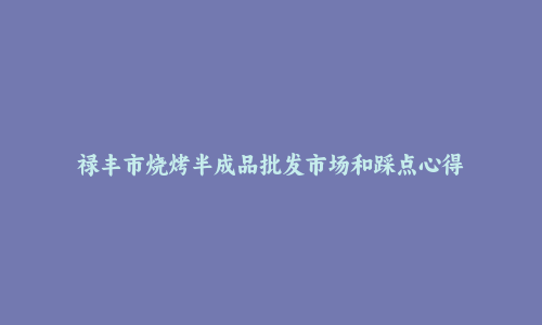 禄丰市烧烤半成品批发市场和踩点心得