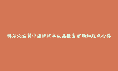科尔沁右翼中旗烧烤半成品批发市场和踩点心得