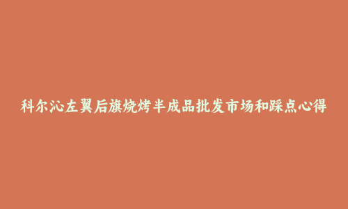 科尔沁左翼后旗烧烤半成品批发市场和踩点心得