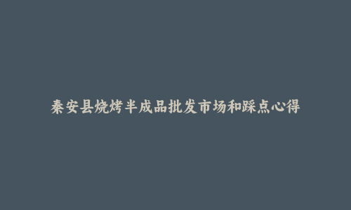 秦安县烧烤半成品批发市场和踩点心得
