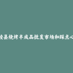 绥棱县烧烤半成品批发市场和踩点心得