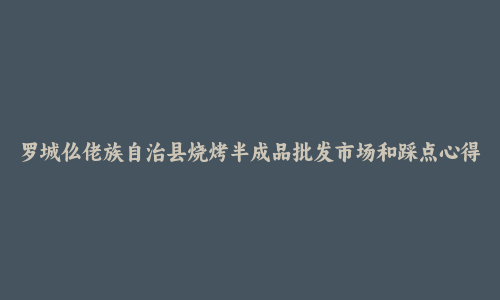 罗城仫佬族自治县烧烤半成品批发市场和踩点心得