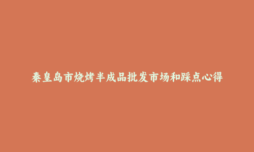 秦皇岛市烧烤半成品批发市场和踩点心得