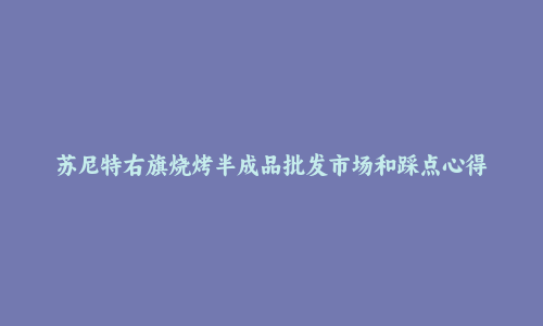 苏尼特右旗烧烤半成品批发市场和踩点心得