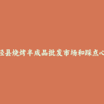 荥经县烧烤半成品批发市场和踩点心得