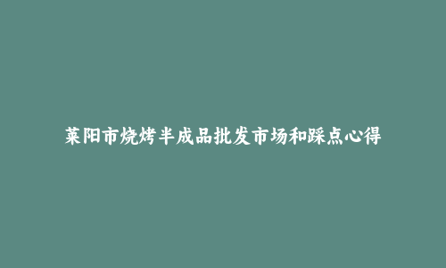莱阳市烧烤半成品批发市场和踩点心得