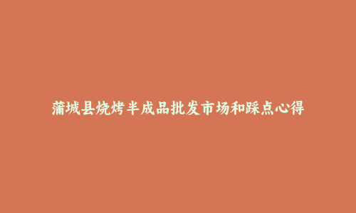 蒲城县烧烤半成品批发市场和踩点心得