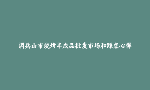 调兵山市烧烤半成品批发市场和踩点心得