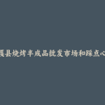 贡嘎县烧烤半成品批发市场和踩点心得