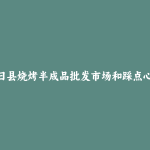 达日县烧烤半成品批发市场和踩点心得
