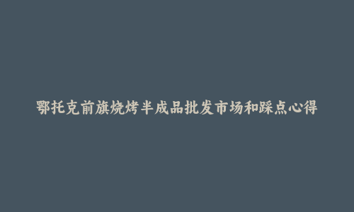 鄂托克前旗烧烤半成品批发市场和踩点心得