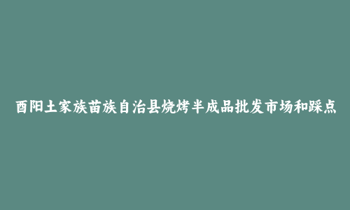 酉阳土家族苗族自治县烧烤半成品批发市场和踩点心得