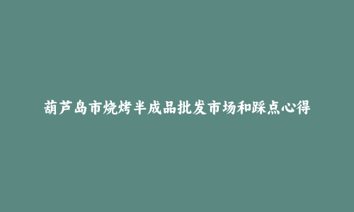 葫芦岛市烧烤半成品批发市场和踩点心得