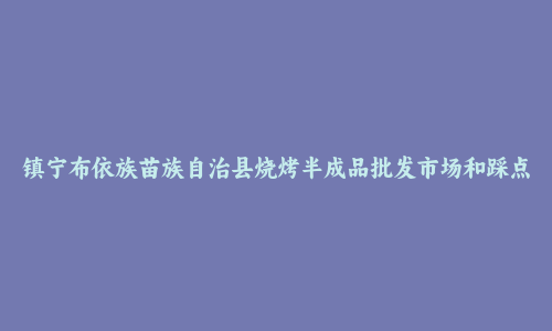 镇宁布依族苗族自治县烧烤半成品批发市场和踩点心得