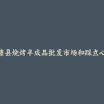 镇康县烧烤半成品批发市场和踩点心得