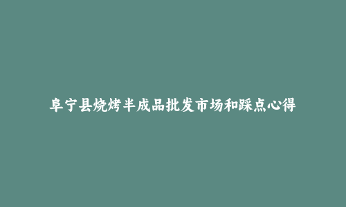 阜宁县烧烤半成品批发市场和踩点心得